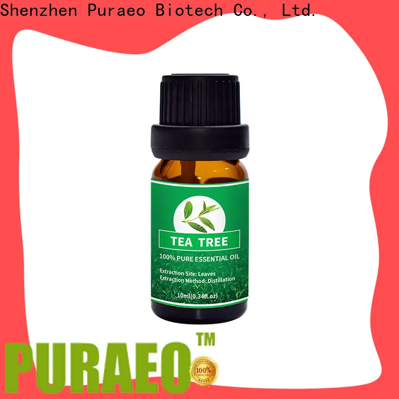Best organic lavender oil factory for massage 1