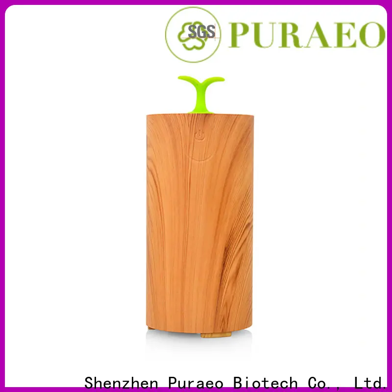 Puraeo Best usb powered oil diffuser Supply 1