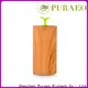 Puraeo Best usb powered oil diffuser Supply 1