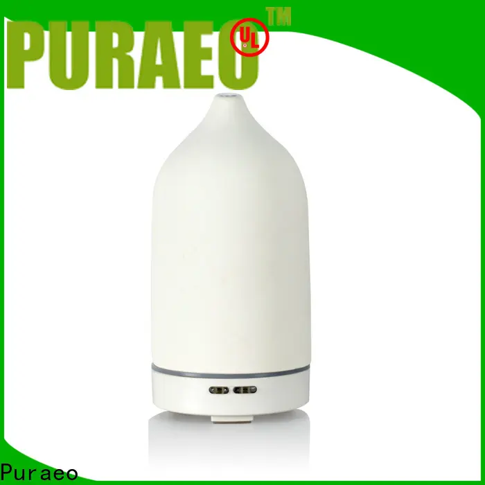 Puraeo Top car diffuser manufacturers 1