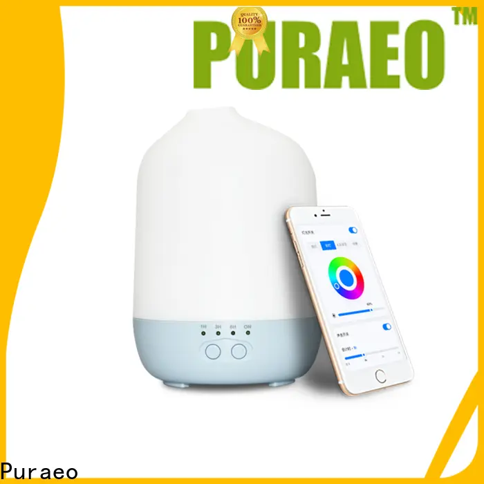 Puraeo Wholesale portable usb aroma diffuser factory 1