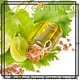 Latest massage oil distributors company for skin 1