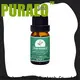 Puraeo High-quality carrier oils supplier factory for perfume 1
