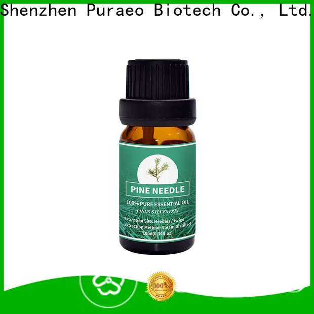Puraeo Best 100 pure rosemary oil Suppliers for hair1 1