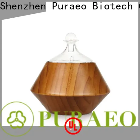 Puraeo Top usb rechargeable diffuser manufacturers 1