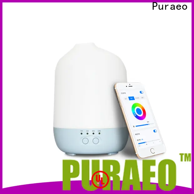 Puraeo Wholesale aroma diffuser wholesale company 1