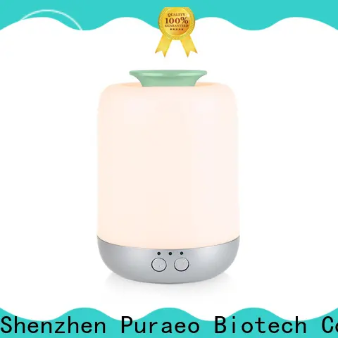 Puraeo usb diffuser for business 1