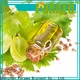 Puraeo fractionated coconut oil bulk Suppliers for perfume 1