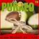 Best best carrier oil for massage Supply for massage 1