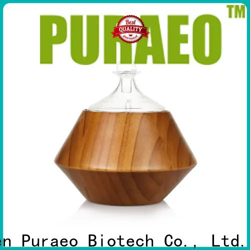 Puraeo usb travel diffuser with essential oils company 1
