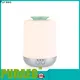 Puraeo portable usb essential oil diffuser Supply 1
