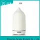 Top usb diffuser for business 1