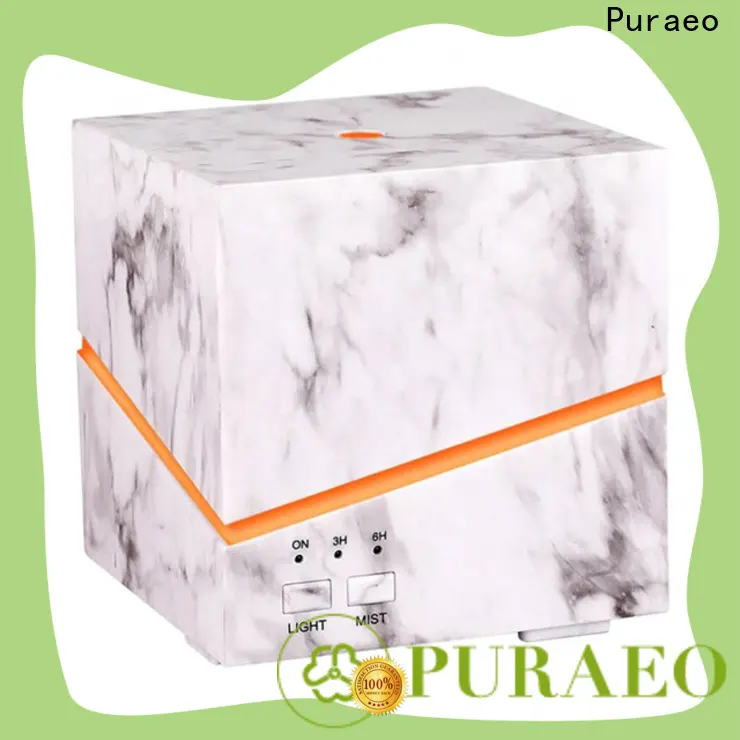 Puraeo usb car diffuser Suppliers 1