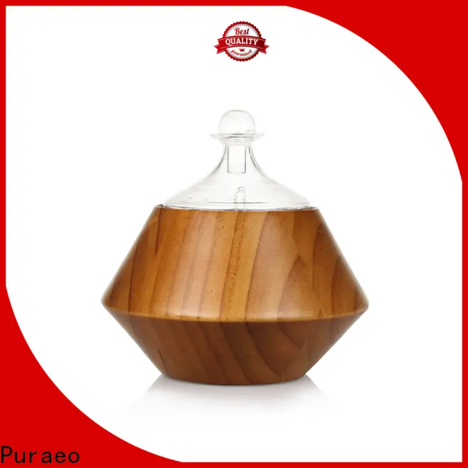 Puraeo Best essential oil car diffuser wholesale factory 1