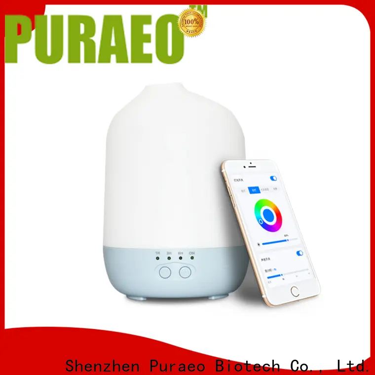 Puraeo car diffuser wholesale manufacturers1 1