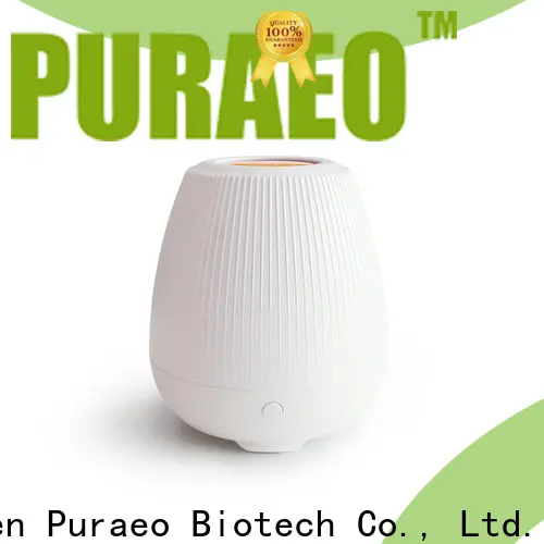Puraeo High-quality mini usb essential oil diffuser factory 1