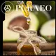 High-quality jojoba oil carrier oil Suppliers for skin 1