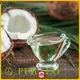 Puraeo carrier oil for essential oils company for hair 1