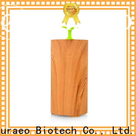 Puraeo essential oil car diffuser wholesale factory 1