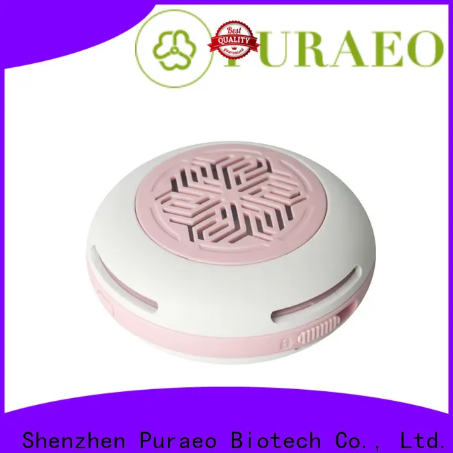 Puraeo High-quality mini usb essential oil diffuser factory1 1