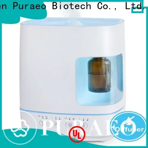 Puraeo portable usb diffuser company 1