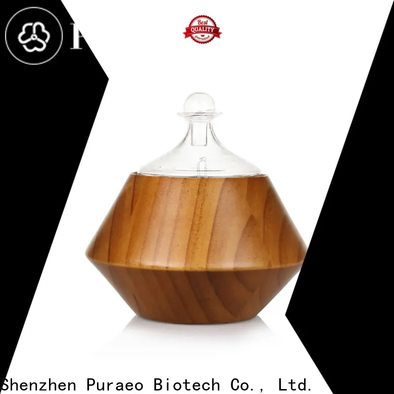 Puraeo usb car essential oil diffuser Supply 1