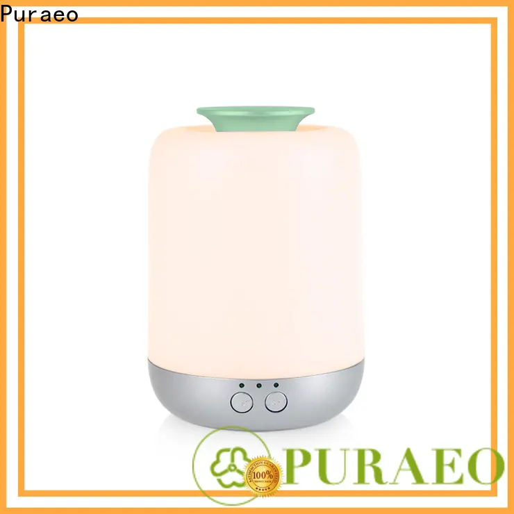 Puraeo usb rechargeable diffuser factory 1