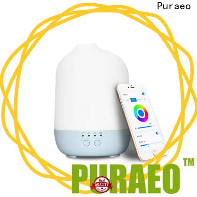 Puraeo car diffuser factory 1