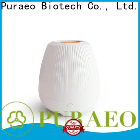 Puraeo Custom scent diffuser for business 1