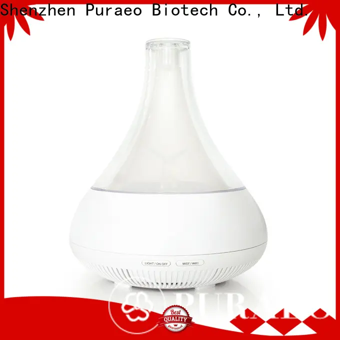 Puraeo New usb travel diffuser for business 1