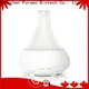 Puraeo New usb travel diffuser for business 1