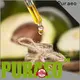 Puraeo massage oil supplier Supply for face 1