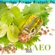Puraeo Top sweet almond essential oil company for hair 1