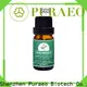 High-quality custom essential oils company for massage1 1