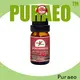 Puraeo Wholesale lavender essential oil manufacturer company for skin 1