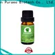 Puraeo High-quality carrier oils supplier factory for hair 1