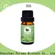 Latest carrier oils supplier Supply for hair2 1