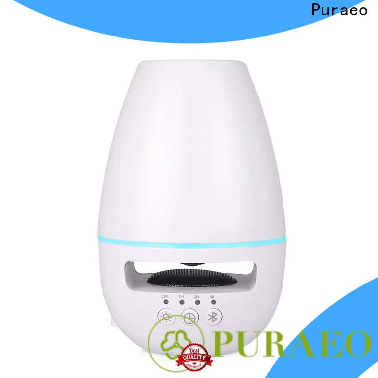 Puraeo Custom usb powered essential oil diffuser factory 1