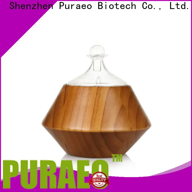 Puraeo Top mini usb diffuser factory 1