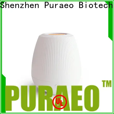 Puraeo usb powered diffuser for business 1