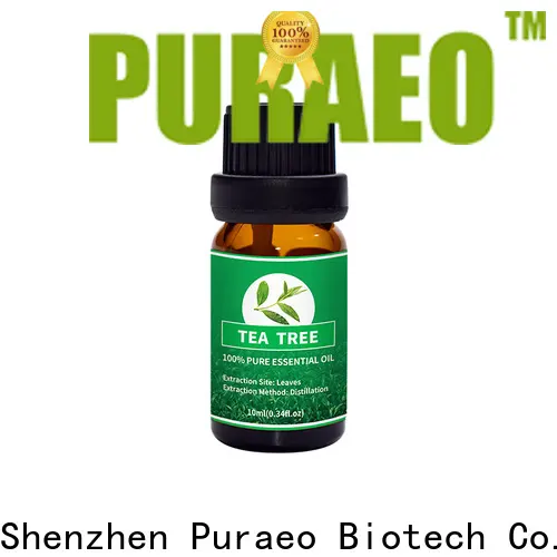 Puraeo rosemary oil essential oil manufacturers for hair 1