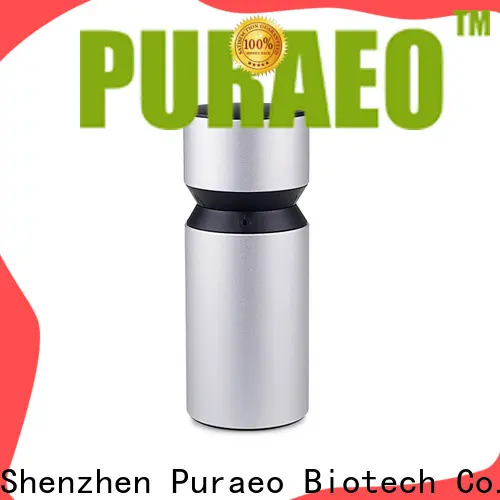 Puraeo Wholesale mini usb essential oil diffuser for business 1
