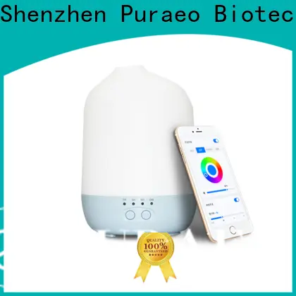 Puraeo Best usb car essential oil diffuser Suppliers 1