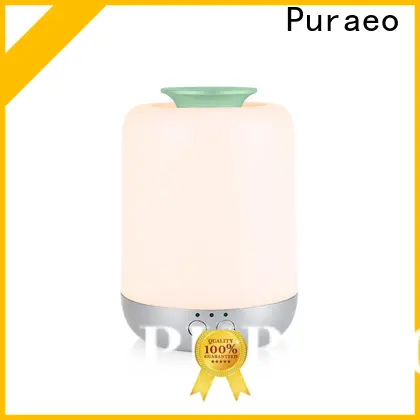 Puraeo usb car diffuser for business 1