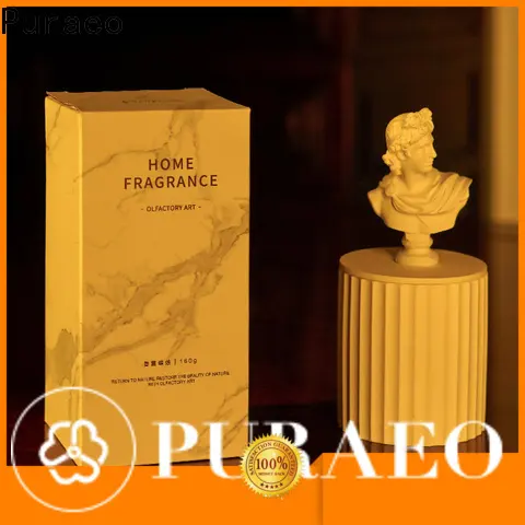 Puraeo 3-IN-1 Bluetooth & Wifi Ultrasonic Aroma Humidifier Aromatherapy Diffusers3 1