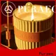 Puraeo 3-IN-1 Bluetooth & Wifi Ultrasonic Aroma Humidifier Aromatherapy Diffusers4 1