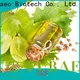 Best cheapest carrier oil factory for massage 1