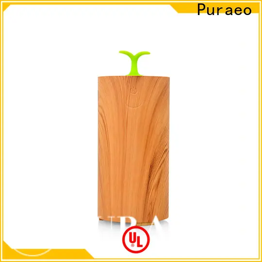 Puraeo Best portable usb essential oil diffuser Supply 1