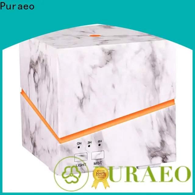 Puraeo Custom usb powered essential oil diffuser for business 1