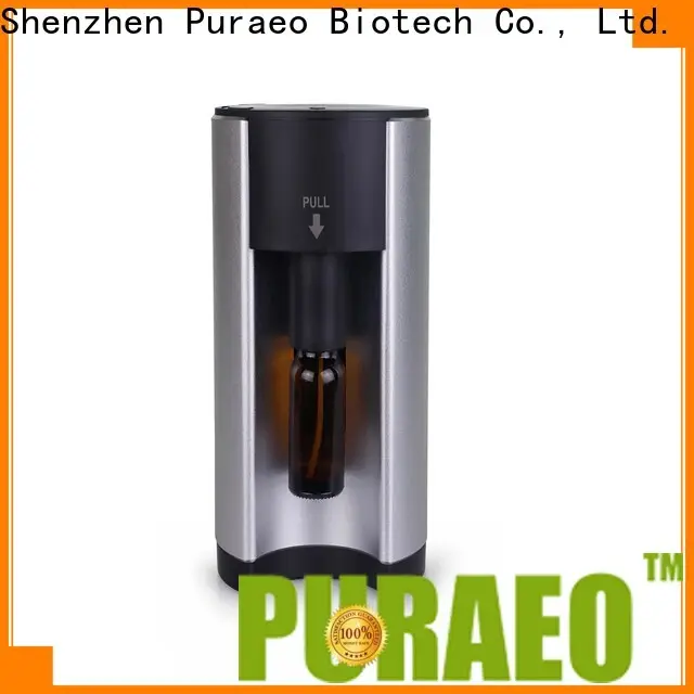 Puraeo Custom mini usb essential oil diffuser factory 1